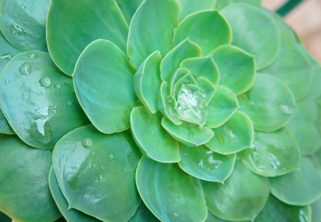 Casa em Gerês - Ref. 146323 Casa em Gerês - Ref. 146323