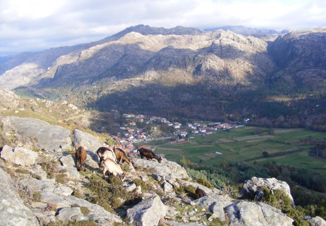 Casa em Campo do Gerês - Ref. 146336 Casa em Campo do Gerês - Ref. 146336
