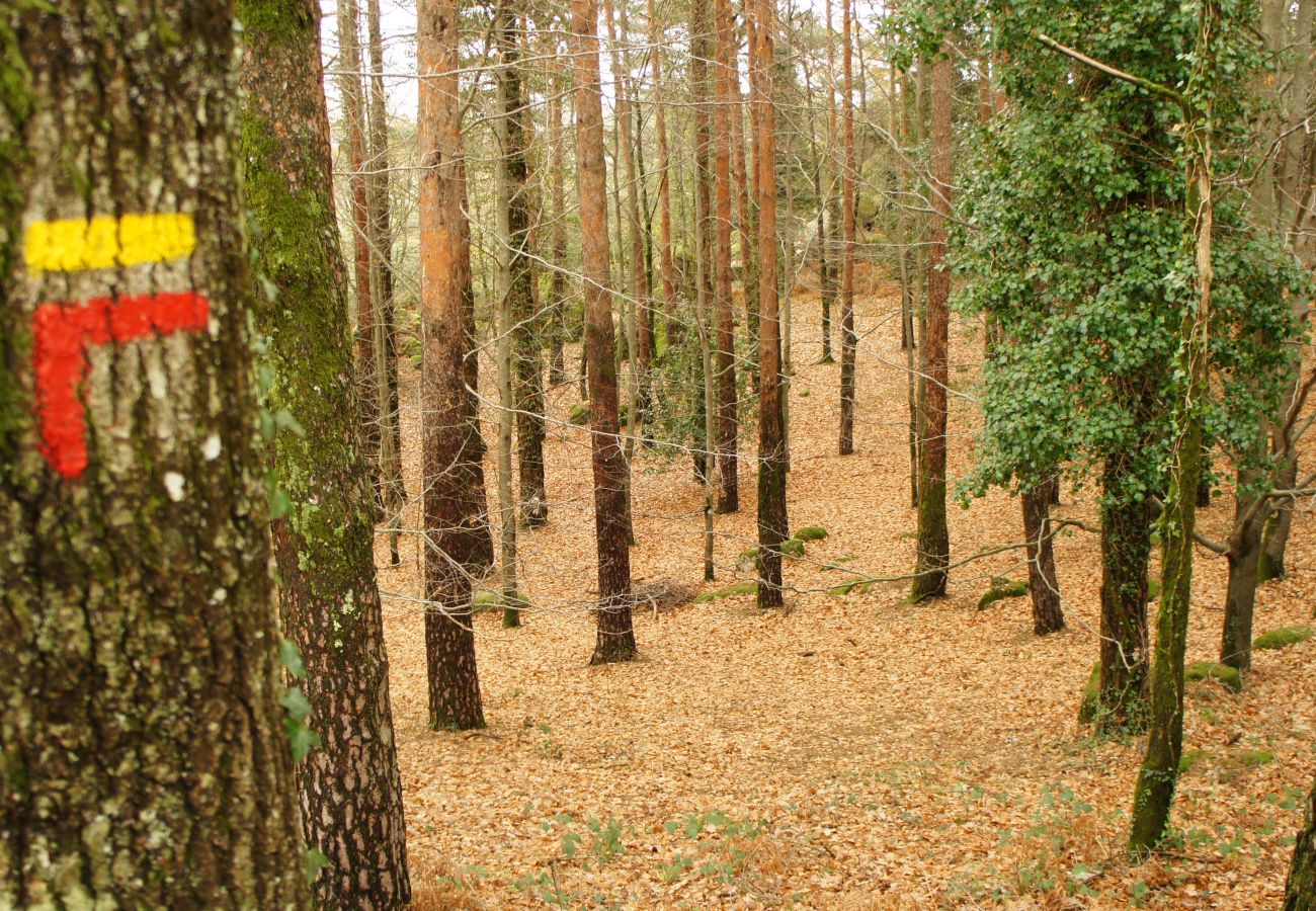 Casa rural em Gerês - Ref. 145775 Casa rural em Gerês - Ref. 145775