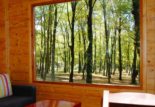 Bungalow em Lamas de Mouro - Ref. 222079 Bungalow em Lamas de Mouro - Ref. 222079