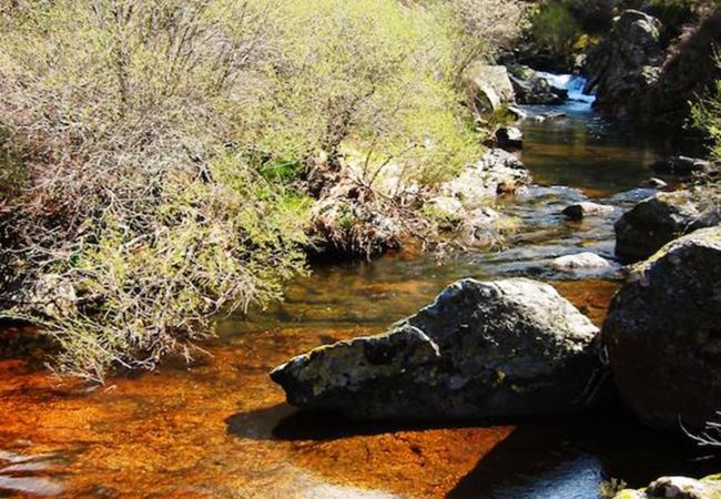 Bungalow em Montalegre - Ref. 146156 Bungalow em Montalegre - Ref. 146156