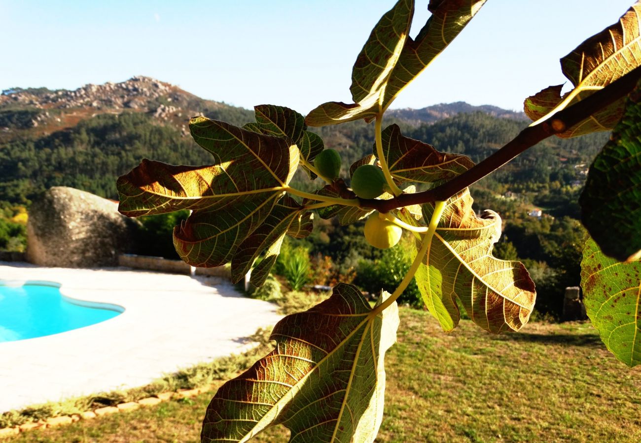 Casa em Vieira do Minho - Ref. 242337 Casa em Vieira do Minho - Ref. 242337