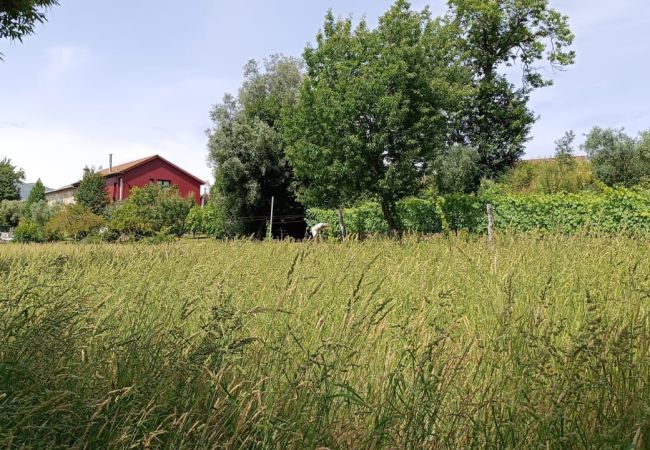 Casa rural em Terras de Bouro - Ref. 257552 Casa rural em Terras de Bouro - Ref. 257552