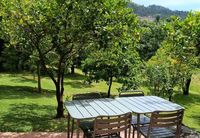 Casa rural em Terras de Bouro - Ref. 257552 Casa rural em Terras de Bouro - Ref. 257552