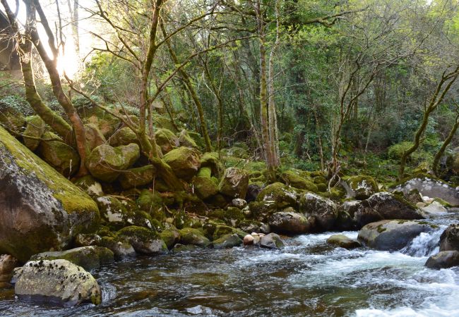 Casa rural em Sistelo - Ref. 290018 Casa rural em Sistelo - Ref. 290018