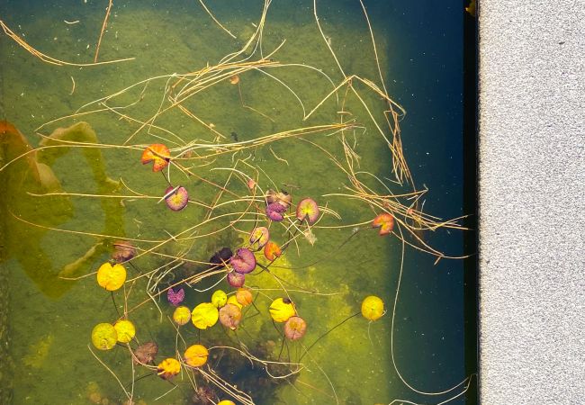 Casa rural em Monção - Ref. 325358 Casa rural em Monção - Ref. 325358