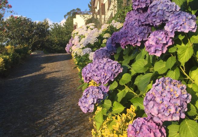 Casa em Terras de Bouro - Ref. 387591 Casa em Terras de Bouro - Ref. 387591