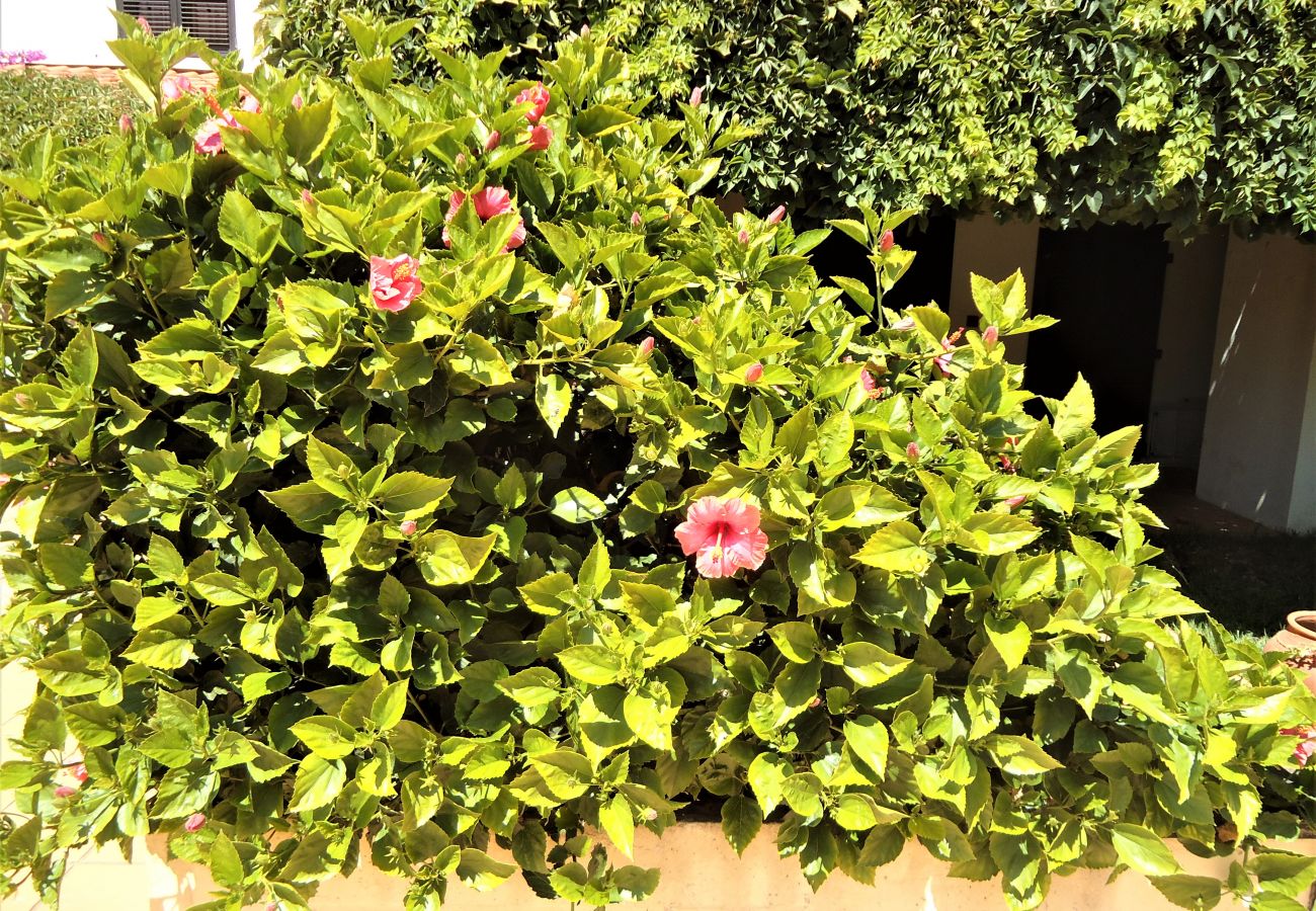 Casa geminada em Quarteira - Ref. 401339 Casa geminada em Quarteira - Ref. 401339