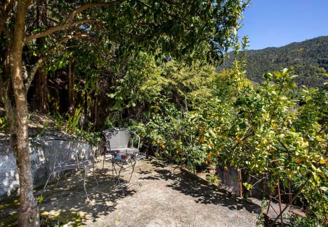 Casa rural em Gerês - Ref. 534283 Casa rural em Gerês - Ref. 534283