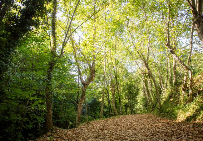 Bungalow in Gerês - Ref. 146289 Bungalow in Gerês - Ref. 146289