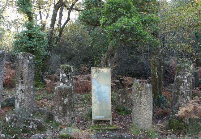 Cottage in Terras de Bouro - Ref. 153573 Cottage in Terras de Bouro - Ref. 153573