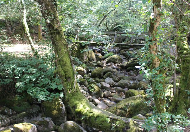 Cottage in Terras de Bouro - Ref. 153573 Cottage in Terras de Bouro - Ref. 153573