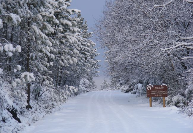 Bungalow in Campo do Gerês - Ref. 156971 Bungalow in Campo do Gerês - Ref. 156971