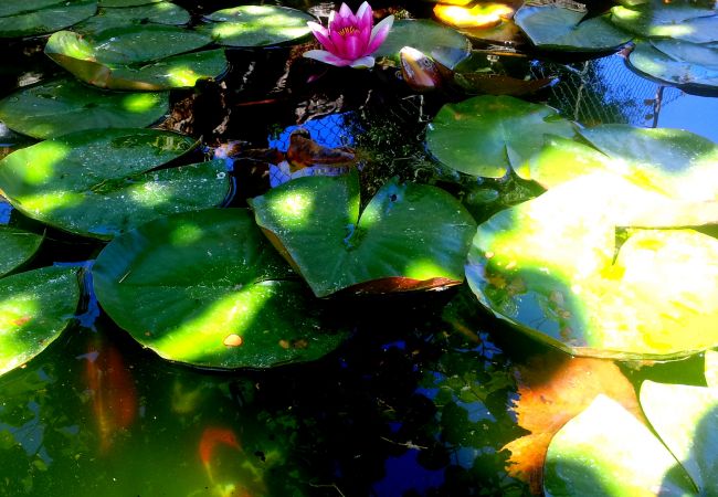 House in Arcos de Valdevez - Ref. 156242 House in Arcos de Valdevez - Ref. 156242