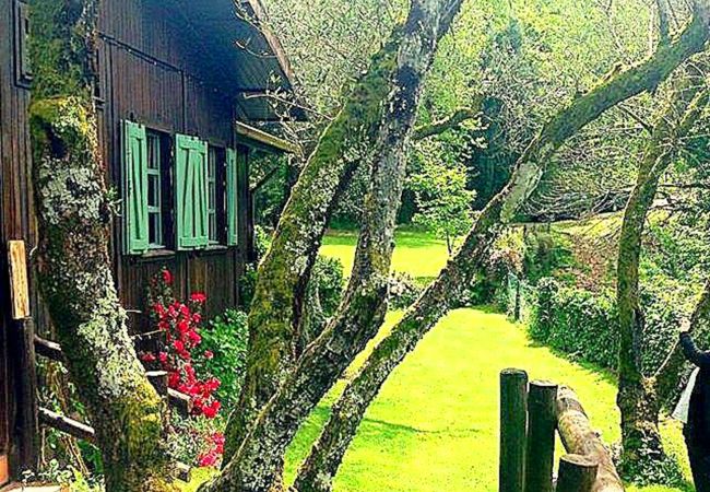 Cottage in Vieira do Minho - Ref. 171643 Cottage in Vieira do Minho - Ref. 171643