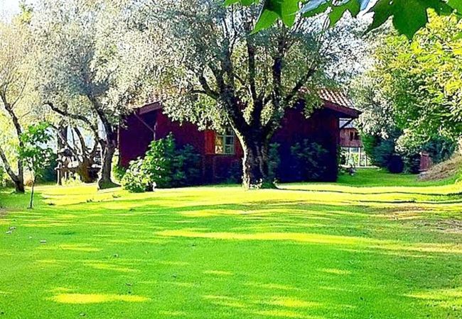 Cottage in Vieira do Minho - Ref. 171643 Cottage in Vieira do Minho - Ref. 171643