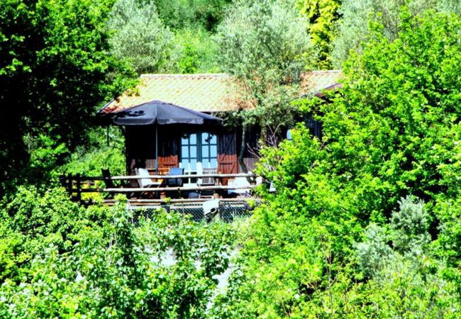 Cottage in Vieira do Minho - Ref. 171643 Cottage in Vieira do Minho - Ref. 171643