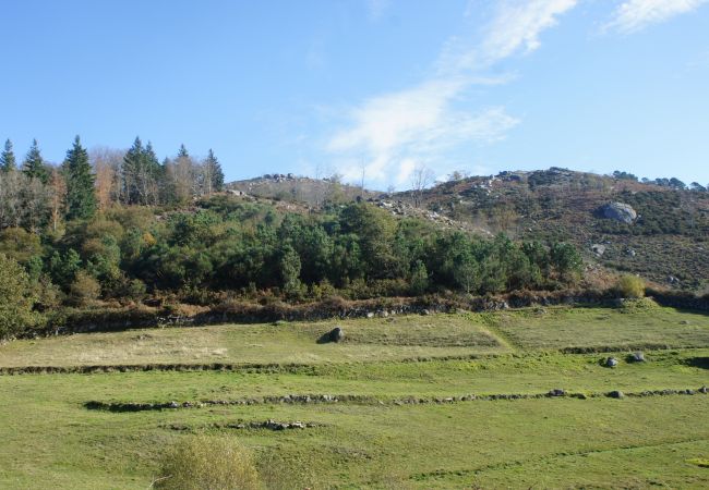 Rent by room in Terras de Bouro - Ref. 225113 Rent by room in Terras de Bouro - Ref. 225113