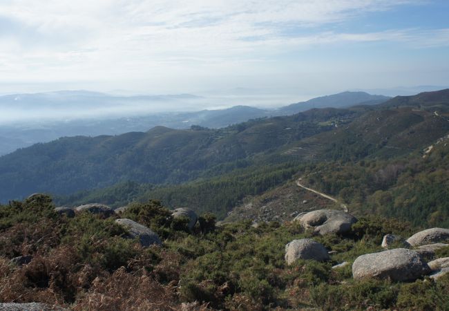 Rent by room in Terras de Bouro - Ref. 225113 Rent by room in Terras de Bouro - Ref. 225113