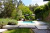 Villa in Vieira do Minho - Ref. 348688