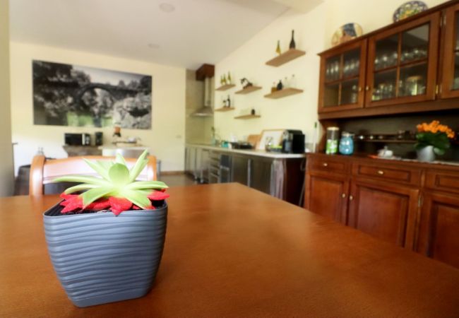 Rent by room in Campo do Gerês - Ref. 390501 Rent by room in Campo do Gerês - Ref. 390501