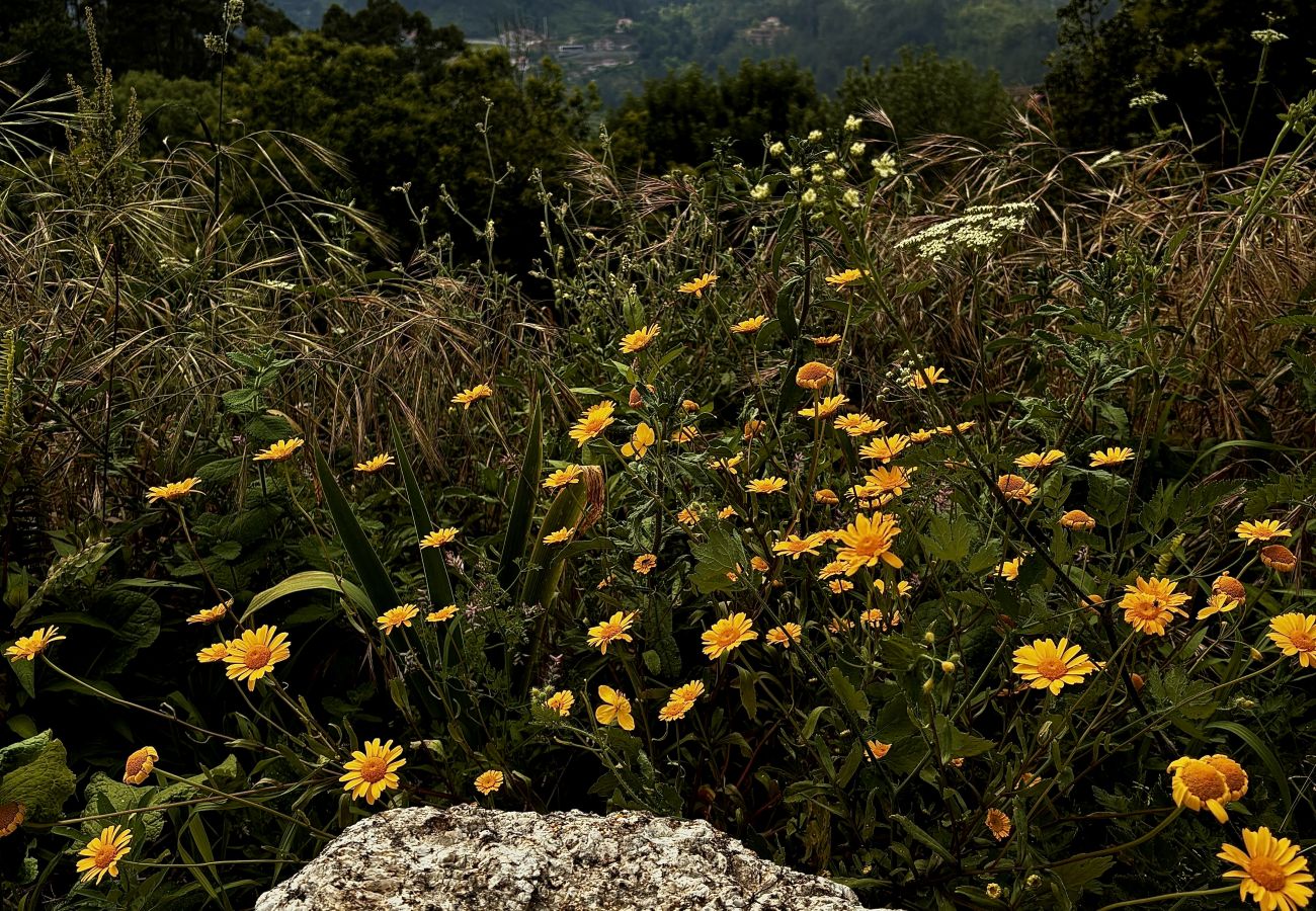 Rent by room in Terras de Bouro - Ref. 503058 Rent by room in Terras de Bouro - Ref. 503058