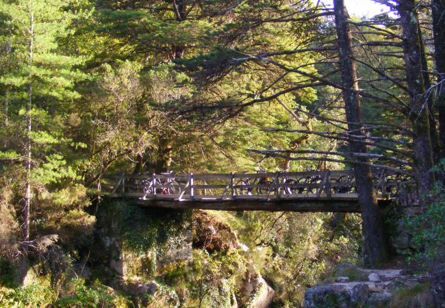Casa rural en Terras de Bouro - Ref. 153573 Casa rural en Terras de Bouro - Ref. 153573