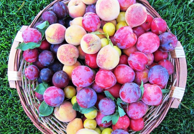 Alquiler por habitaciones en Amares - Ref. 165301 Alquiler por habitaciones en Amares - Ref. 165301