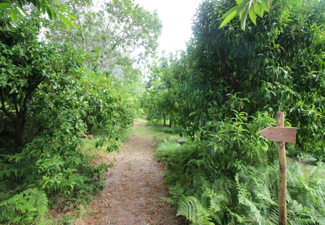 Casa rural en Amares - Ref. 160709 Casa rural en Amares - Ref. 160709