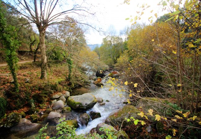 Alquiler por habitaciones en Gerês - Ref. 174351 Alquiler por habitaciones en Gerês - Ref. 174351