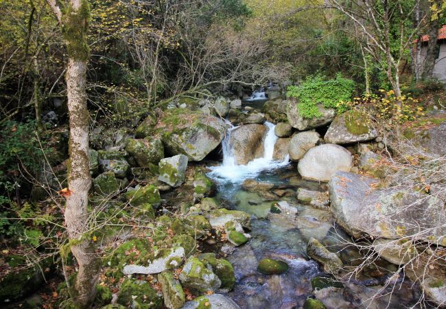 Alquiler por habitaciones en Gerês - Ref. 174367 Alquiler por habitaciones en Gerês - Ref. 174367