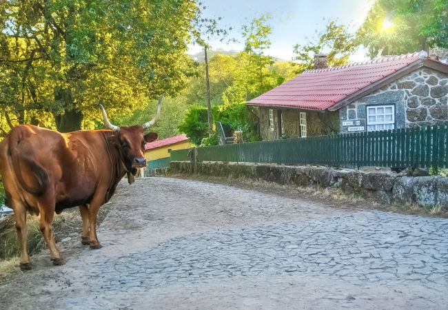 Vila Verde - Casa rural