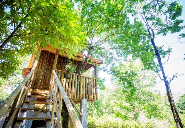 Bungalow en Campo do Gerês - Ref. 298039 Bungalow en Campo do Gerês - Ref. 298039