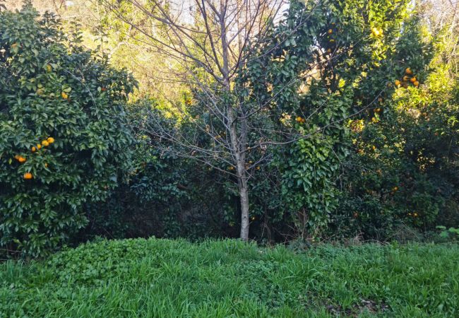 Casa en Gerês - Ref. 523092 Casa en Gerês - Ref. 523092