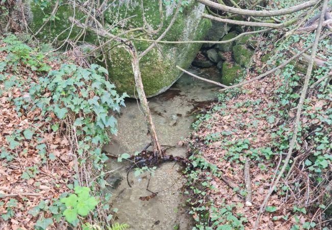 Casa en Gerês - Ref. 523092 Casa en Gerês - Ref. 523092