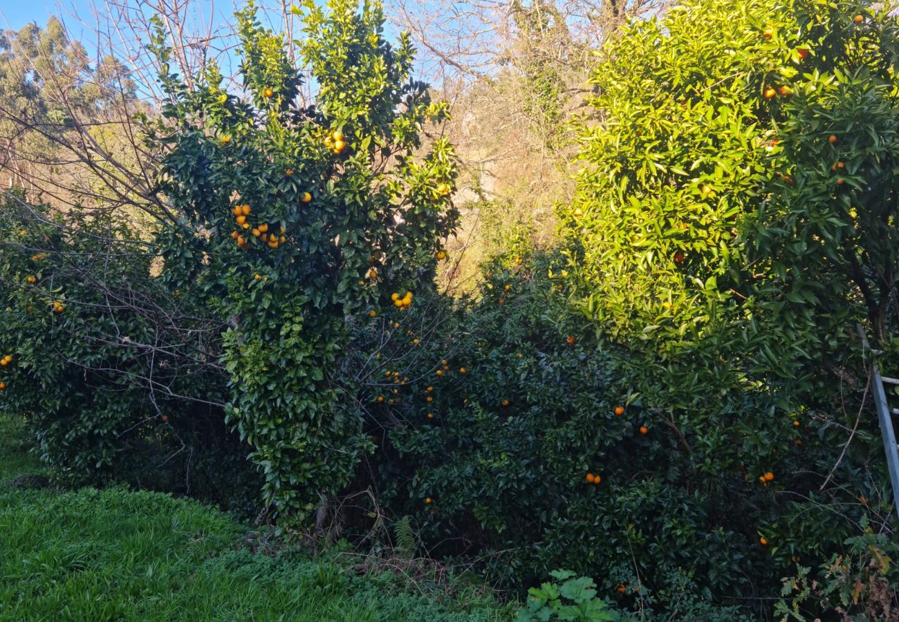 Casa en Gerês - Ref. 523092 Casa en Gerês - Ref. 523092