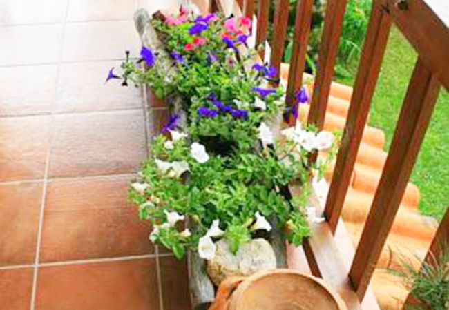 Gîte Rural à Amares - Réf. 146301 Gîte Rural à Amares - Réf. 146301