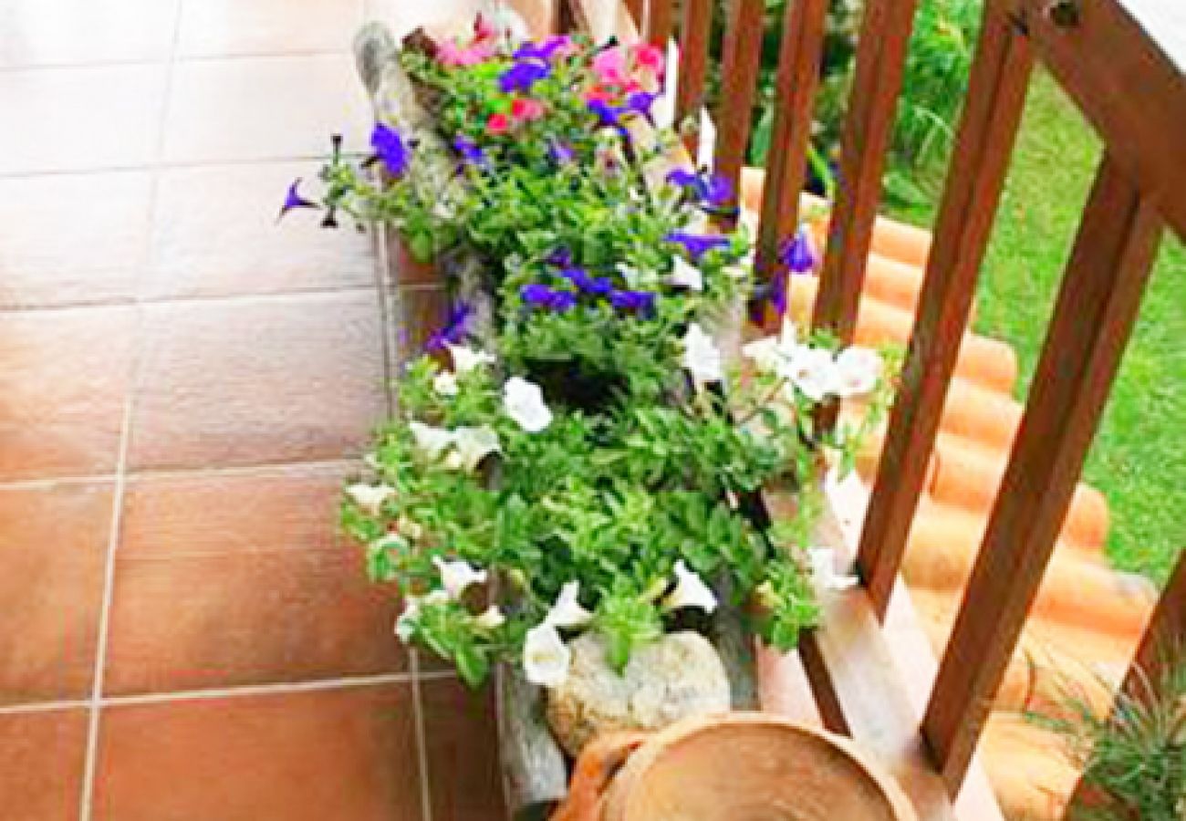 Gîte Rural à Amares - Réf. 146301 Gîte Rural à Amares - Réf. 146301