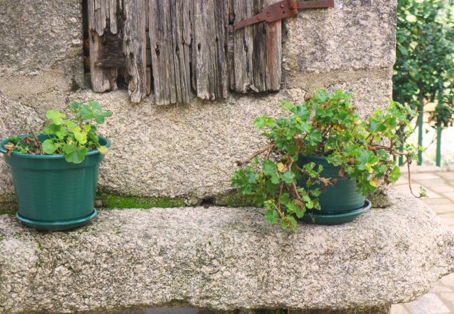 Maison à Gerês - Réf. 146270 Maison à Gerês - Réf. 146270