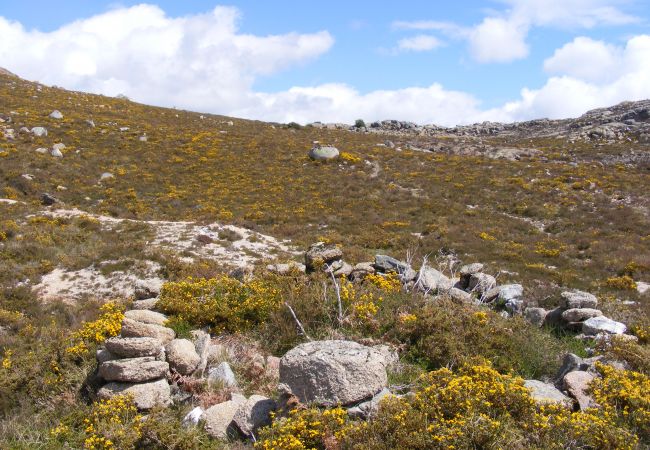 Gîte Rural à Terras de Bouro - Réf. 153573 Gîte Rural à Terras de Bouro - Réf. 153573
