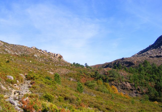 Gîte Rural à Terras de Bouro - Réf. 153573 Gîte Rural à Terras de Bouro - Réf. 153573