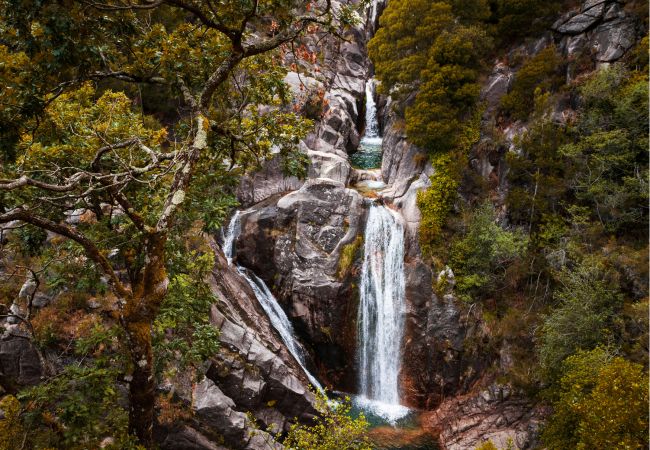 Bungalow à Gerês - Réf. 145776 Bungalow à Gerês - Réf. 145776