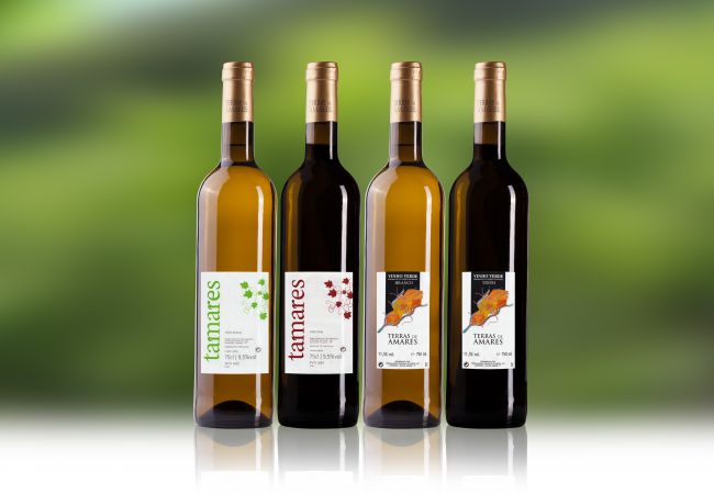 Gîte Rural à Amares - Réf. 160510 Gîte Rural à Amares - Réf. 160510