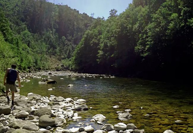 Bungalow à Arcos de Valdevez - Réf. 232331 Bungalow à Arcos de Valdevez - Réf. 232331