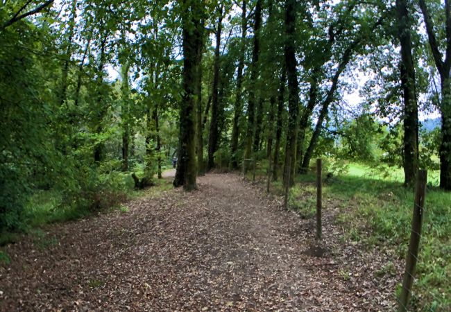 Bungalow à Arcos de Valdevez - Réf. 311693 Bungalow à Arcos de Valdevez - Réf. 311693
