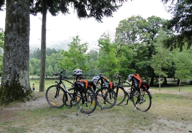 Bungalow à Arcos de Valdevez - Réf. 311694 Bungalow à Arcos de Valdevez - Réf. 311694