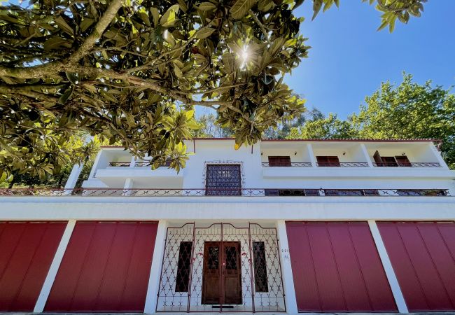 Maison à Terras de Bouro - Réf. 387591 Maison à Terras de Bouro - Réf. 387591