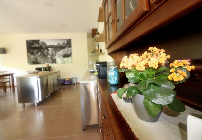 Chambres d'hôtes à Campo do Gerês - Réf. 390500 Chambres d'hôtes à Campo do Gerês - Réf. 390500